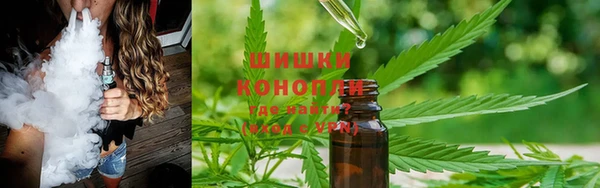 ГАЛЛЮЦИНОГЕННЫЕ ГРИБЫ Алзамай